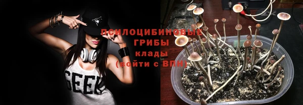 стафф Краснослободск